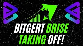 BITGERT COIN (BRISE) IS TAKING OFF! Bitgert BRISE Has HUGE POTENTIAL For The FUTURE! 📈