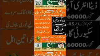How to Apply for BISP Jobs 2025 | Benazir Income Support Programme Jobs | Latest Govt Jobs #job