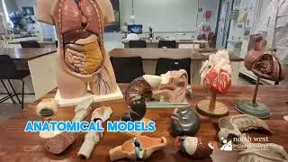 STUDY SCIENCE AT NWRC🔬⚗