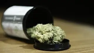 He designs pot apparel; He runs a pot shop brand | The Cannabist Show