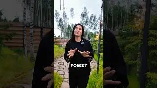 РЕВИЗОРРО знает ответ. CHALET FOREST - уютный домик в Подмосковье для отдыха. Смотри обзор 🔥