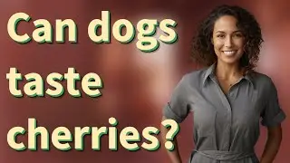 Can dogs taste cherries?
