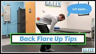 Low Back Pain Mobility Exercises - Back Pain Flare Up Tips (Part 1)