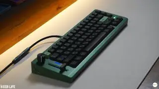 Vanguard65 Proto w/ Runner Switches