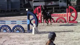 Frits barrage rotterdamse manege