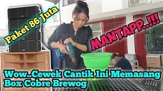 Wow..cewek cantik ini memasang box cobre brewog‼️cek sound paket horeg  86 juta