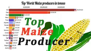 Top Largest Maize Producing countries in the World