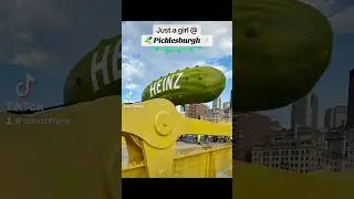 Everything I ate at Picklesburgh #fyp #food #Foodie #weekend #pickles #pittsburgh #picklesburgh #412