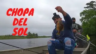 COMO PESCAR CHOPA DEL SOL/PESCA Y COCINA