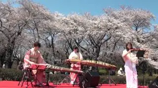 You Raise Me Up by sakura project