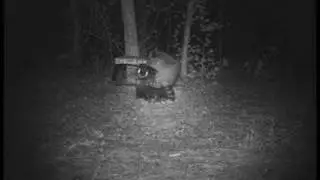 HCO Scoutguard SG550 Video & Image Samples by Chasingame