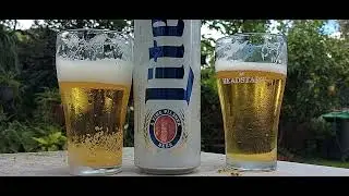 Miller Light With Kiwi  Steve