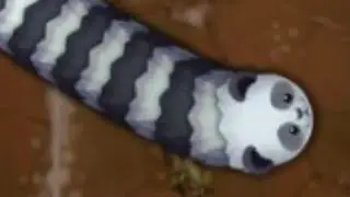 🧞Littlebigsnake kill of the day #1
#Littlebigsnake, #fyp, #short #ive #livestream