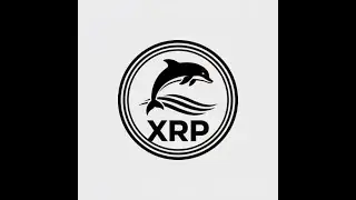 Обзор одного из лучших крипто проектов Dex Black Dolphin