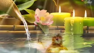 Мурлыканье кота и звук воды для уюта. Cat Purring & Flowing Water Ambience