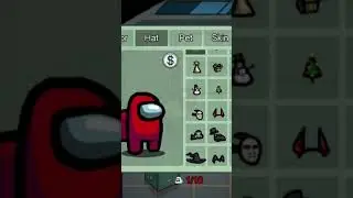 I have all hats pets skins in Among us