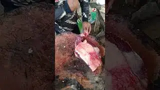 Superb Meat Cutting Video #meat #meatmasterbd #youtubeshorts #youtube #youtuber #shorts