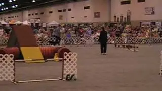 Rook - International Standard - Reliant Show