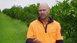 Only Growing Stronger | Australian Organic Food Co. | Groundswell