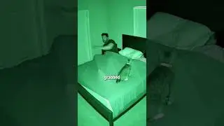 The cat that saved the whole family