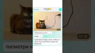 #юмор #смехпродлеваетжизнь #мем #смешновидео