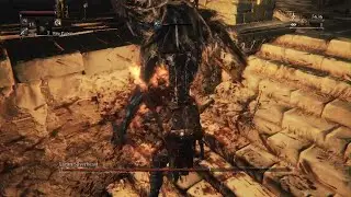 Bloodborne: Level 4 Waste of Skin vs. Loran Silverbeast (No Damage)