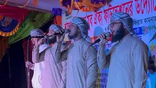 মনের ঘরেতে রেখেছি যারে দোজাহানের বাদশা নবী কামলিওয়ালা রে🥀🙂❤️