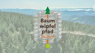 Baumwipfelpfad Pohorje - Pot med kro&scaron;njami Pohorje