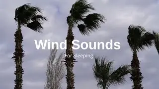 Wind sounds - Wind sound for sleeping, insomnia, relaxing, study