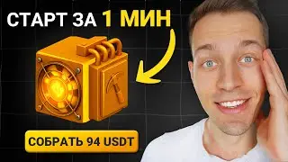c $100 до $5000 В BOUNTY HASH