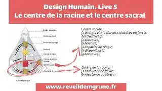 DESIGN HUMAIN - Live 5: centre de la racine et centre sacral