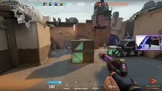 Zowie ZA 13 C. Made my aim better. can't stop using it.#zowie#Valorant