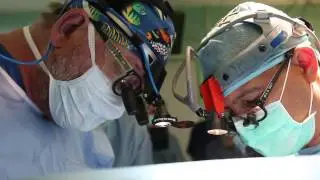 Dr Novick interviewed by BBC World Service