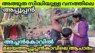 അച്ചൻകോവിൽ മലയത്തപ്പൂപ്പൻകാവ് ആചാരങ്ങൾ | Malayathappupan Kavu | Tribal Pilgrimage | Achankovil |