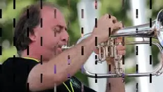 The Fax of Life - The Joe Roccisano Orchestra