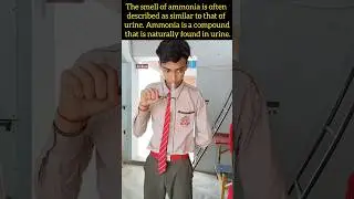 Formation of Ammonia 🤢