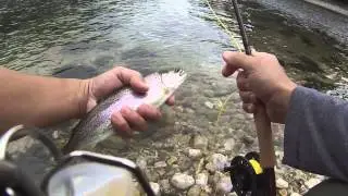 Fliegenfischen flyfishing Martin Brod Bosnien