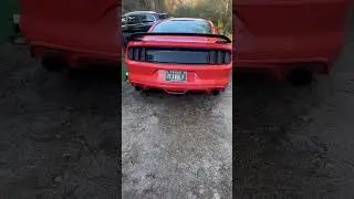 Mustang S550 Cold Start for Fall 🍂#Coyote #Ford #Mustang #S550 #ManualDriver #TexasWolf