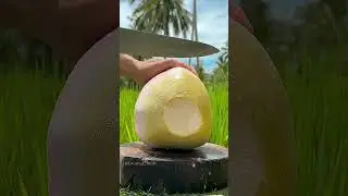 coconut 🥥 cutting skills with knife 🔪#trendingshorts #coconutcutting #creativecontentcreator