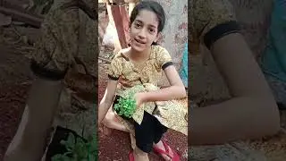 methi ki sabji🪴#youtube #viralshort #fenugreekrecipe#methi #viralreels #gulf #uk #canada#cooking #yt