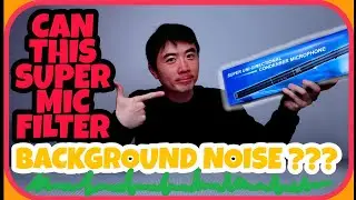 Will this Budget Mic Filter BackGround Noise? Super Uni-Directional Bestshoot Condenser Microphone