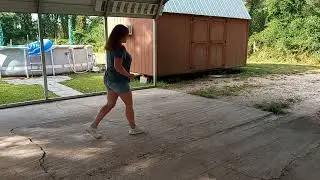 The 