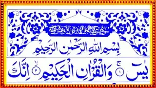 036Surah Yaseen Full|Surah Yasin With HD Arabic Text|Yaseen Shareep|Beautiful Quran Recitation