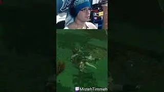 My sneakstrike BROKE! - The Legend of Zelda: Breath of the Wild
