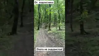 Охота на эндуристов на Змейке! Кмв. #эндуро #хардэндуро #moto #enduro #мотоцикл #мото #motomaniac