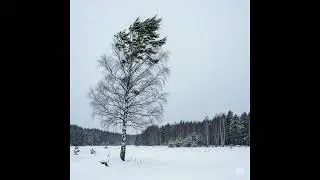 Грустная песня о России #music #ballad #russia @chichovci2you