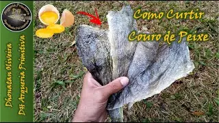 Como Curtir Couro de Peixe em 24 Horas|M&eacute;todo Primitivo