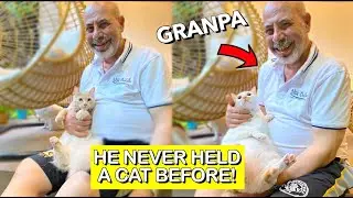 My CATS Meeting Their GRANDPA For the First Time! 😻