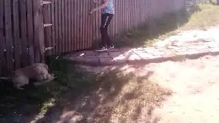 просто видосик