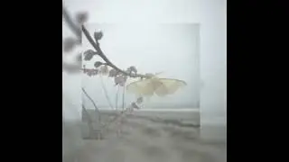 Lii Yo - 电影里的世界 intro looped (slightly slowed)